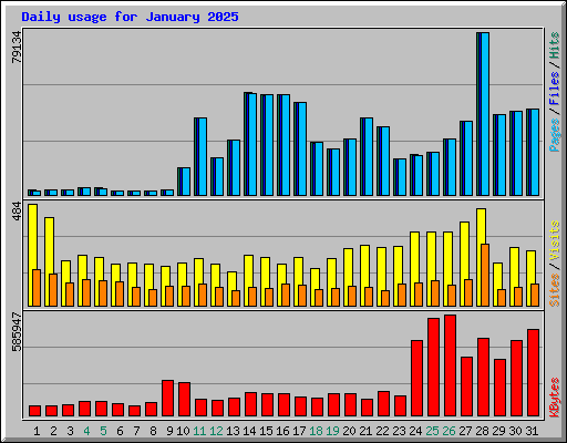 Daily usage for January 2025