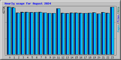 Hourly usage for August 2024