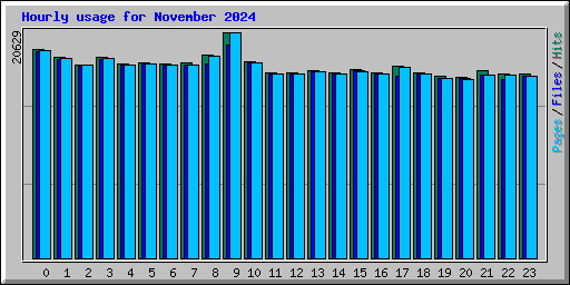 Hourly usage for November 2024