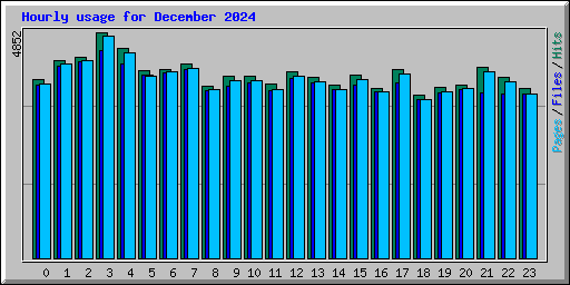Hourly usage for December 2024