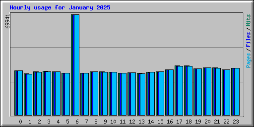 Hourly usage for January 2025