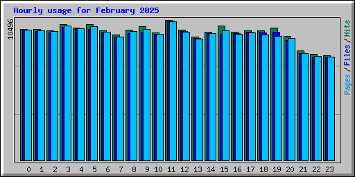 Hourly usage for February 2025
