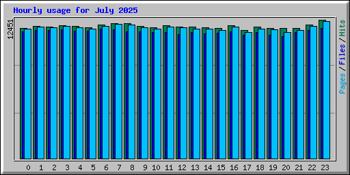 Hourly usage for July 2025