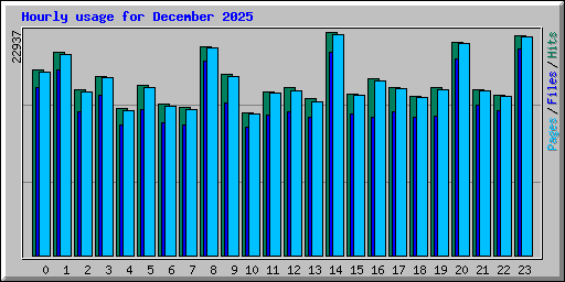 Hourly usage for December 2025